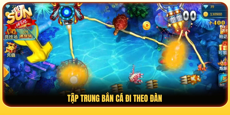 Ưu tiên nhắm vào những đàn cá xuất hiện cùng lúc 