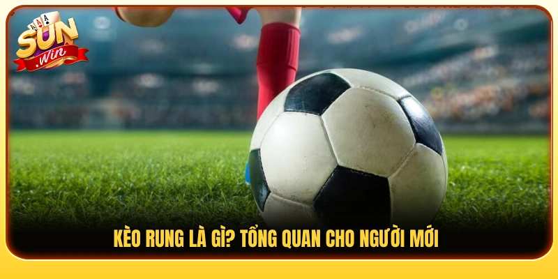 Kèo rung là gì? Những điều cơ bản cần biết 